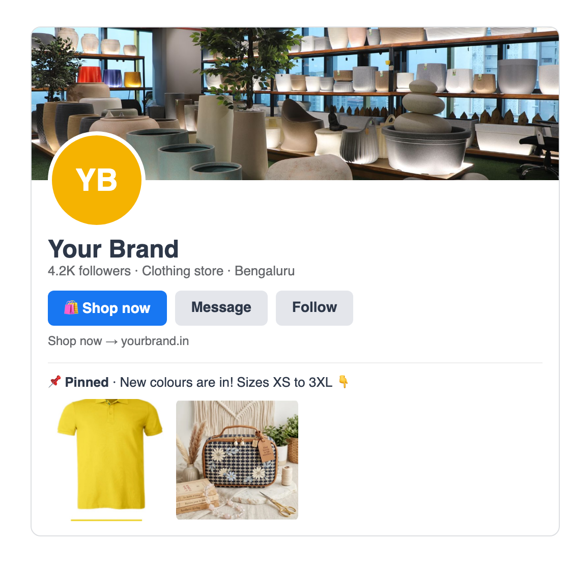 Example Facebook page of a store with a Shop now button linking to the store and a pinned post of new products
