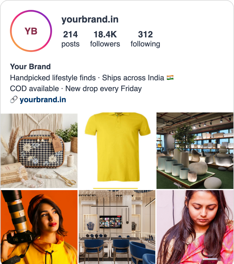 Example Instagram profile with COD available in the bio and a link to the store