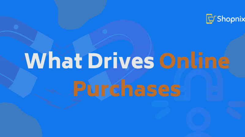 Decoding Consumer Behavior: What Drives Online Purchases